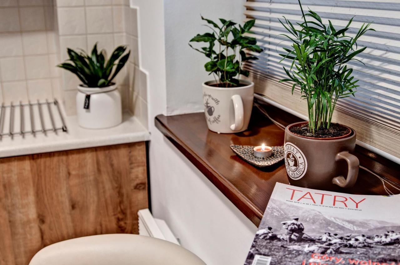 Apartament Pod Nosalem & Spa Sauna,Jacuzzi 扎科帕内 外观 照片